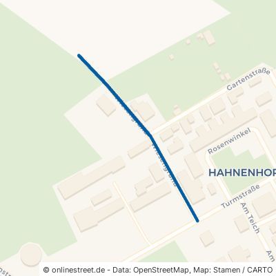 Wiesengrund Müden Hahnenhorn 