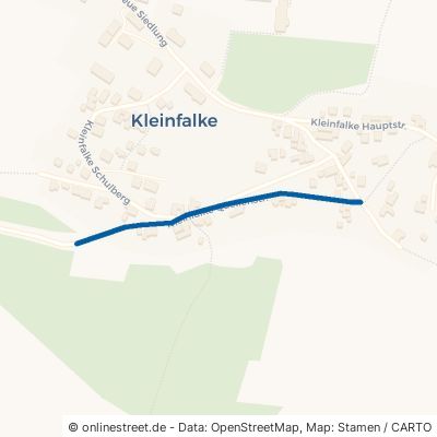 Kleinfalke Quellenstraße Gera Falka 