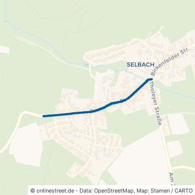 Primstaler Straße Nohfelden Selbach 