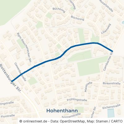 Parkstraße Hohenthann 