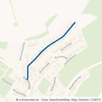 Birkenweg Billigheim Waldmühlbach 