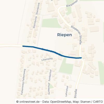 Beckedorfer Straße Bad Nenndorf Riepen 