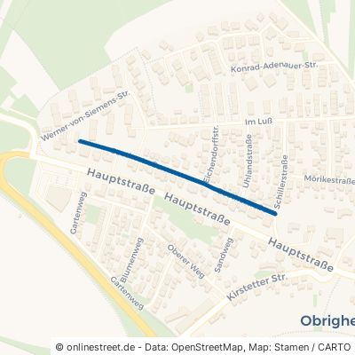 Goethestraße Obrigheim 