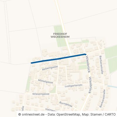 Kastanienweg Reichelsheim Weckesheim 
