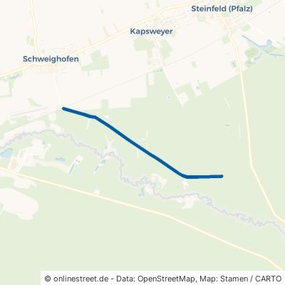 Schweighofer Weg 76889 Kapsweyer 