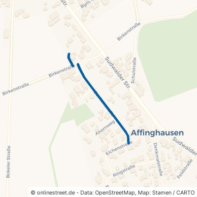 Buchenstraße Affinghausen 