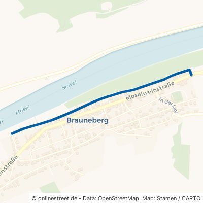 Nussbaumallee 54472 Brauneberg 