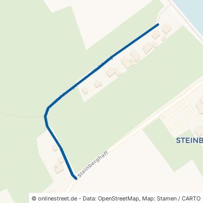 Waldweg Steinberg Steinberghaff 