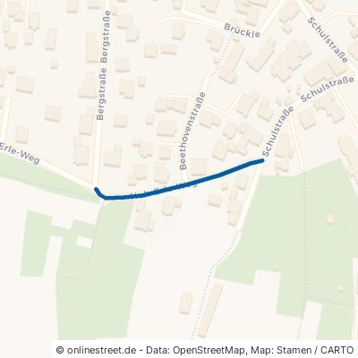 Hoh-Erle-Weg 77948 Friesenheim Oberschopfheim 
