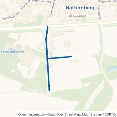 Sandnerhofweg Deggendorf Natternberg 