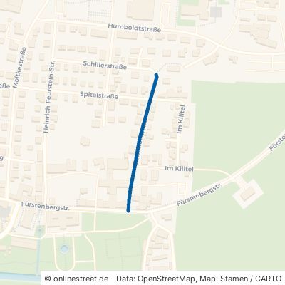 Sennhofstraße 78166 Donaueschingen 