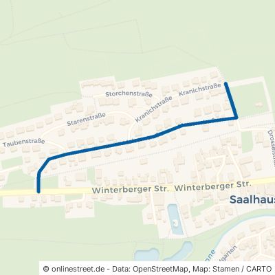 Meisenstraße 57368 Lennestadt Saalhausen 