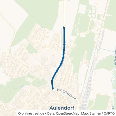 Schussenrieder Straße Aulendorf 