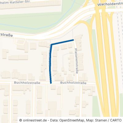 Ginsterstraße 47055 Duisburg Wanheimerort Duisburg Mitte