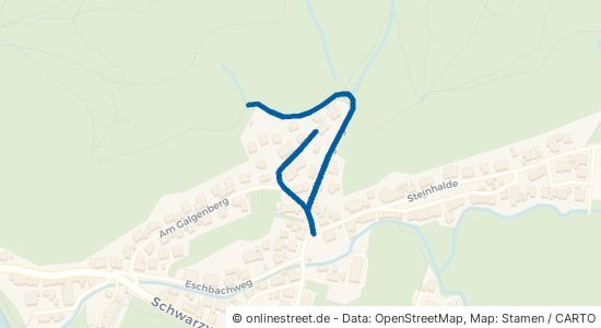 Scheibenbergweg 79117 Freiburg im Breisgau Ebnet Ost