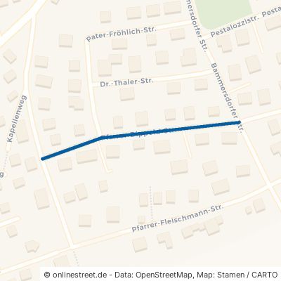 Pfarrer-Dippold-Straße Eggolsheim 