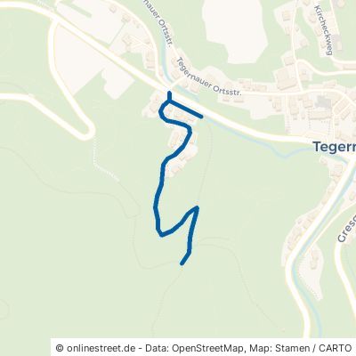 Tegernauer Bühlweg 79692 Kleines Wiesental Tegernau 