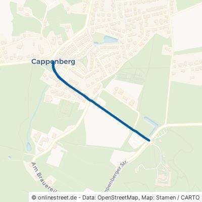 Freiherr-vom-Stein-Straße Selm Cappenberg 