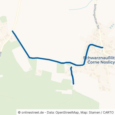 Arnsdorfer Straße Obergurig Schwarznaußlitz 