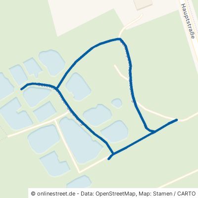 Schnepelmoor Siedlung 38518 Gifhorn Kästorf 