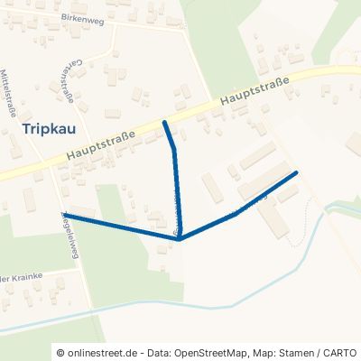 Mühlenweg Amt Neuhaus Tripkau 