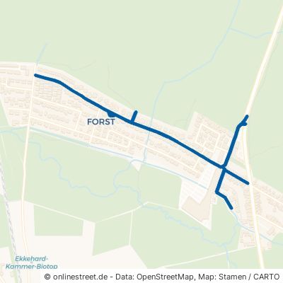 Tannenweg Linden Leihgestern 
