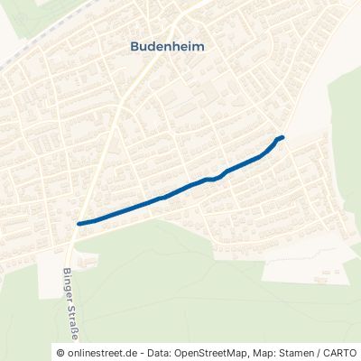 Eaubonner Straße Budenheim 