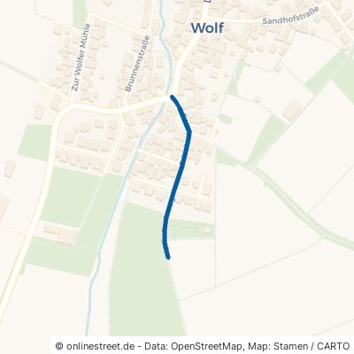 Friedhofsweg Büdingen Wolf 
