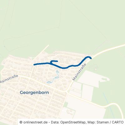 Schloßallee Schlangenbad Georgenborn 