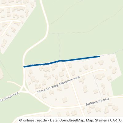 Champignonweg Rheine Elte 