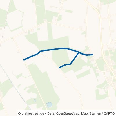 Tiefe Riede Diepenau Steinbrink 