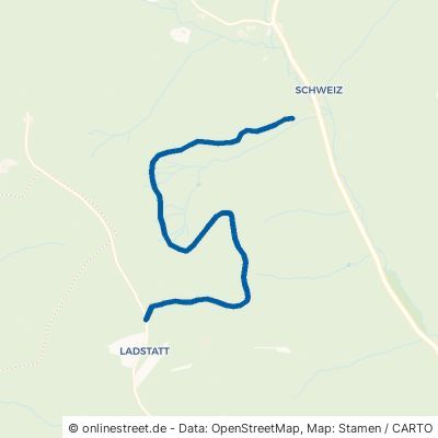 Brendhaldenweg 78120 Furtwangen im Schwarzwald 