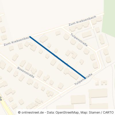 Nelkenstraße 82256 Fürstenfeldbruck 