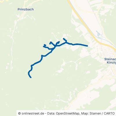 Niederbach Steinach 