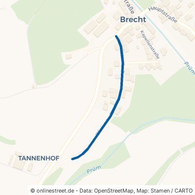 Wiesenstraße Brecht 