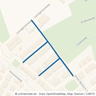 Grete-Fleischmann-Straße Mannheim Neuhermsheim 