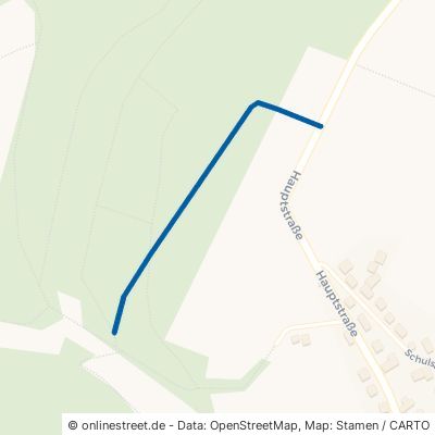 Waldweg Schieferkaule Marzhausen 