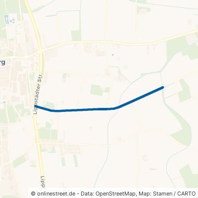 Schlingfeldweg 33449 Langenberg 