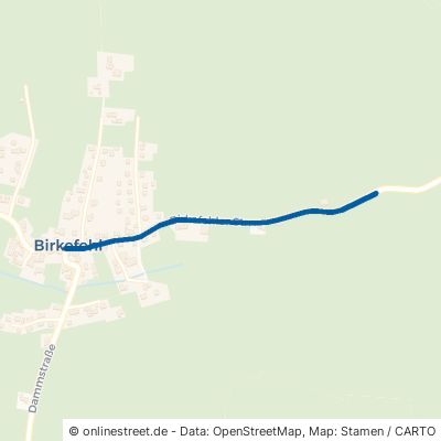 Birkefehler Straße Erndtebrück Birkefehl 