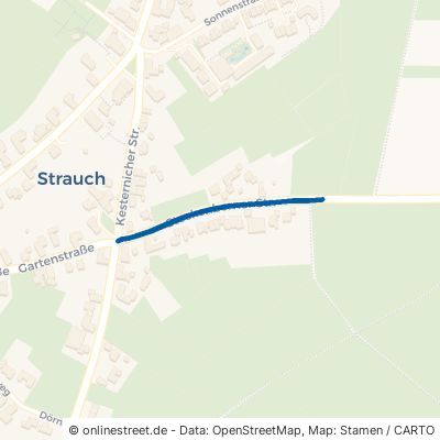 Steckenborner Straße Simmerath Strauch 