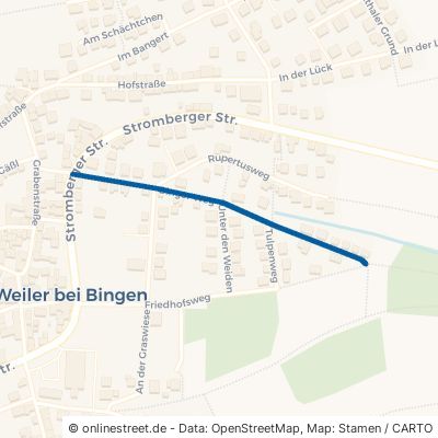 Binger Weg 55413 Weiler bei Bingen 