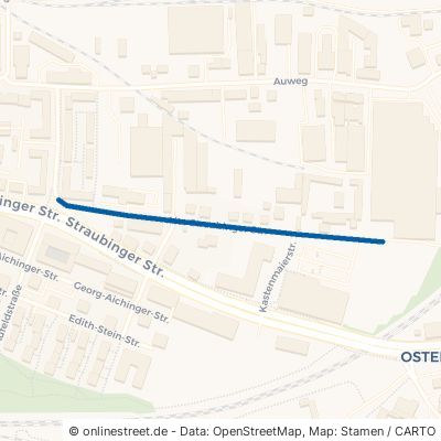 Alte Straubinger Straße Regensburg Ostenviertel 