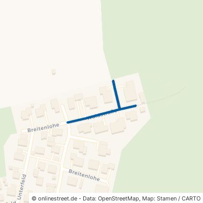 Waldstraße Mindelheim Mindelau 