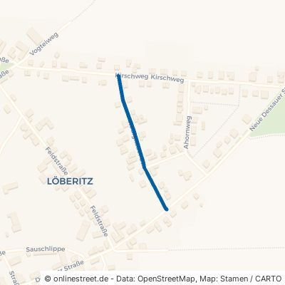 Rodigkauer Straße 06780 Zörbig Löberitz 