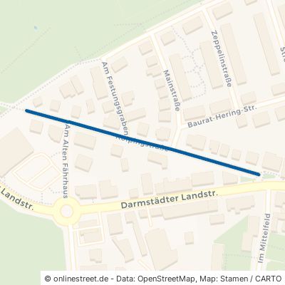 Kolpingstraße Ginsheim-Gustavsburg Gustavsburg 