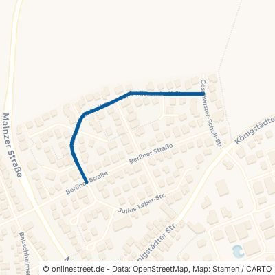 Carlo-Mierendorff-Straße 65468 Trebur Astheim 