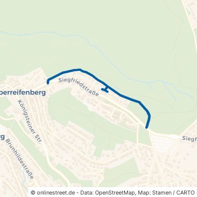 Waldstraße 61389 Schmitten Oberreifenberg Oberreifenberg