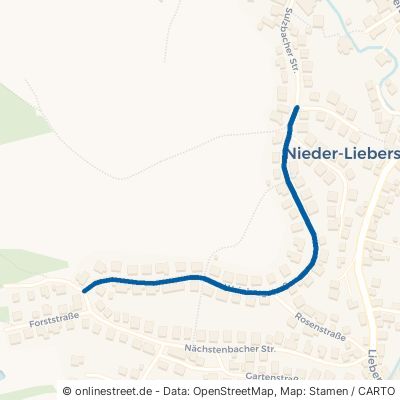 Weinbergstraße Birkenau Nieder-Liebersbach 