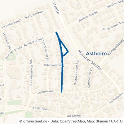 Bauschheimer Straße Trebur Astheim 