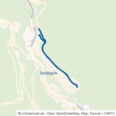 Obere Sonnenhalde Baiersbronn Tonbach 